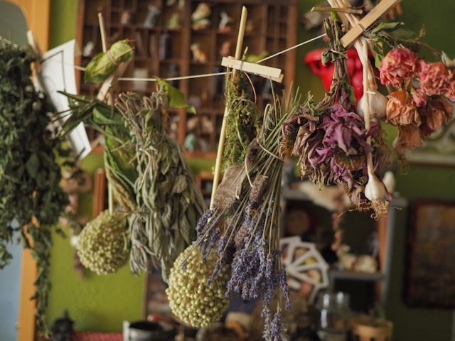Consulenza erboristica e naturopatica